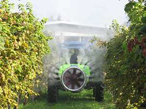 Orchard sprayers