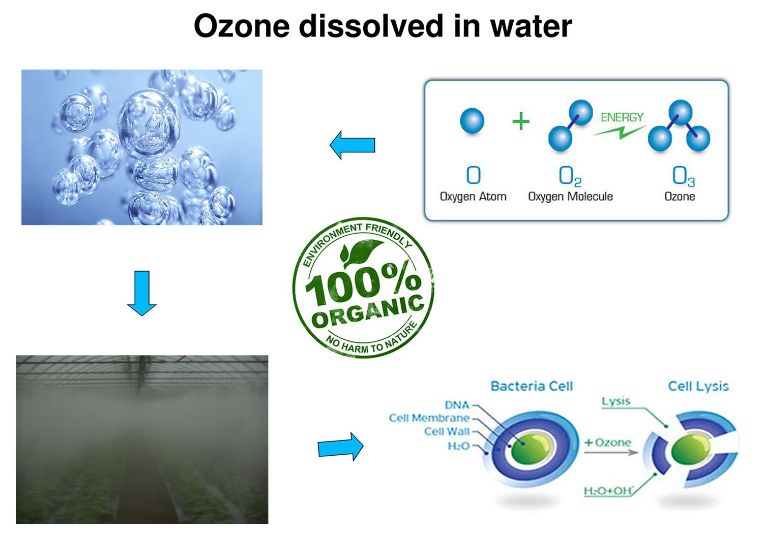 Ozono-therapy